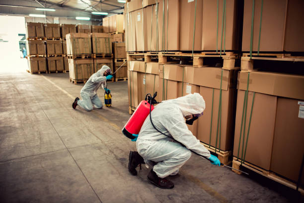 Best Pest Control for Businesses  in Rossmoor, CA