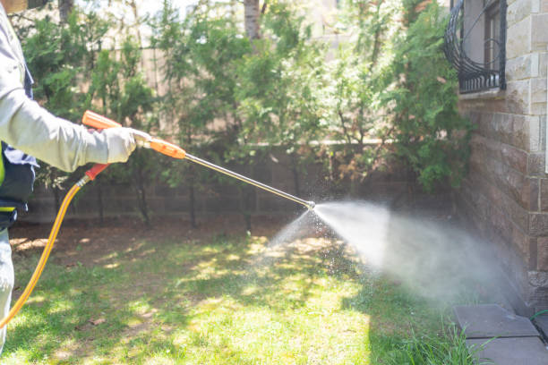 Best Cockroach Control Services  in Rossmoor, CA