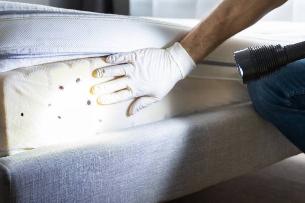 Best Pest Inspection Near Me  in Rossmoor, CA