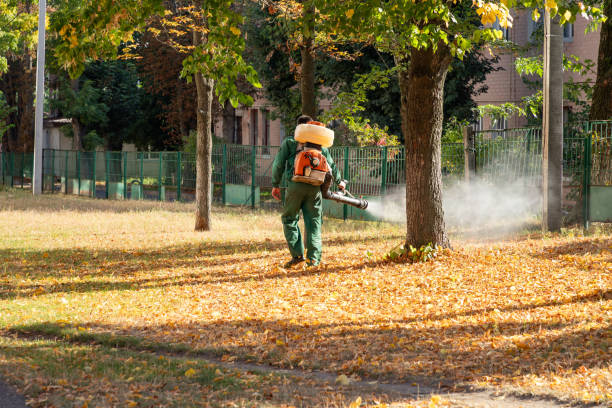 Rossmoor, CA Pest Control Company
