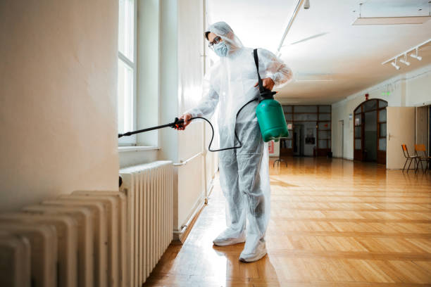 Best Pest Control Near Me in Rossmoor, CA