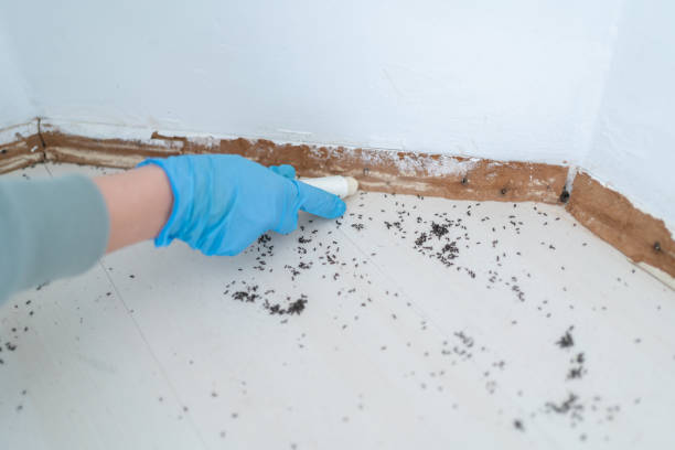 Best Pest Removal Services  in Rossmoor, CA